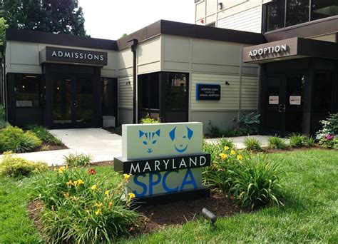 Spca baltimore - 16 Maryland SPCA jobs in Baltimore, MD. Search job openings, see if they fit - company salaries, reviews, and more posted by Maryland SPCA employees.